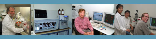 MMCRI Core Facility
