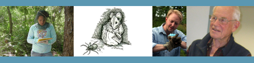 MMC - Lyme Disease