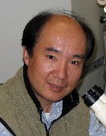 Dr Wang
